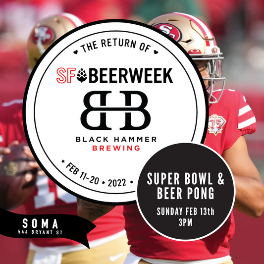 SFBW Events: Superbowl Beer Pong Party - February 13th @ 2pm
